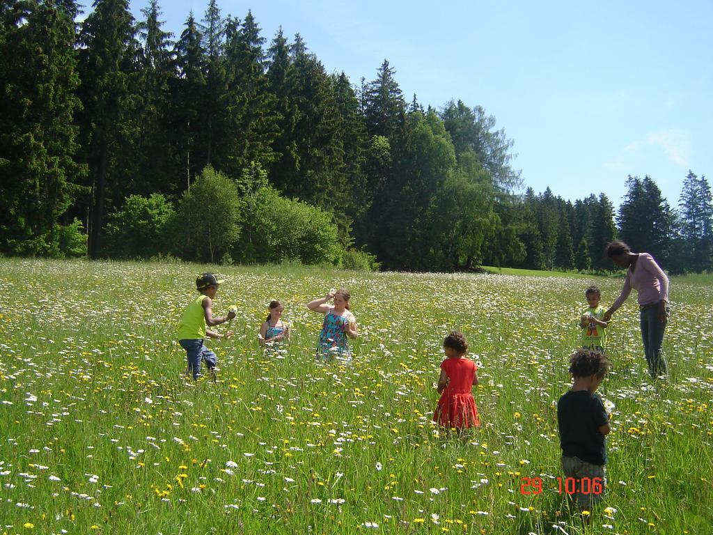 Farm stay Biohof Stockinger *