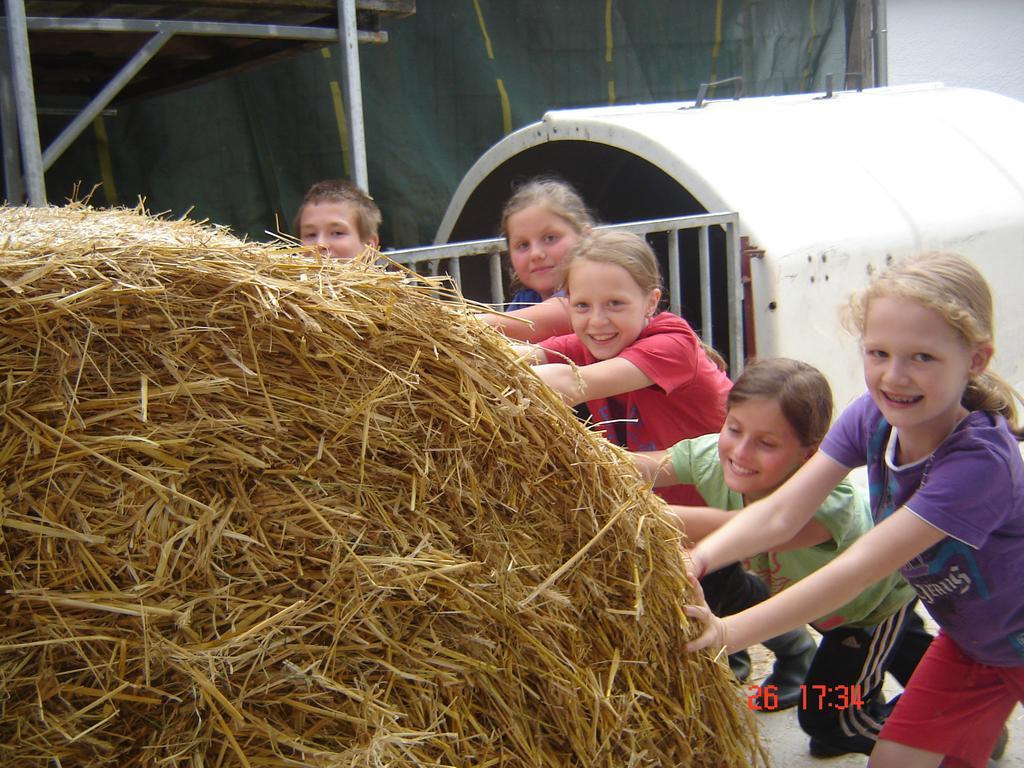 Farm stay Biohof Stockinger *